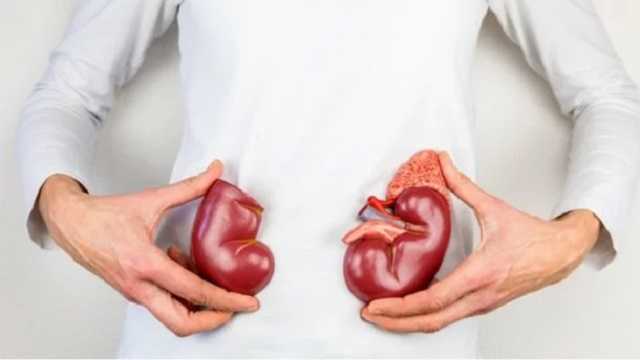 Острая боль и кровь в моче: Супрун рассказала, как поддерживать работу почек