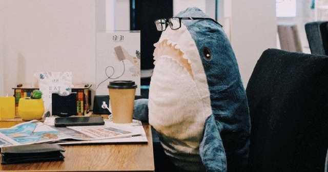 Вступна кампанія: від пробного ЗНО до вступу