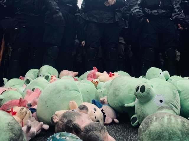 Появилось видео, где в Полтаве во время выступления Порошенко устроили «свинопад»