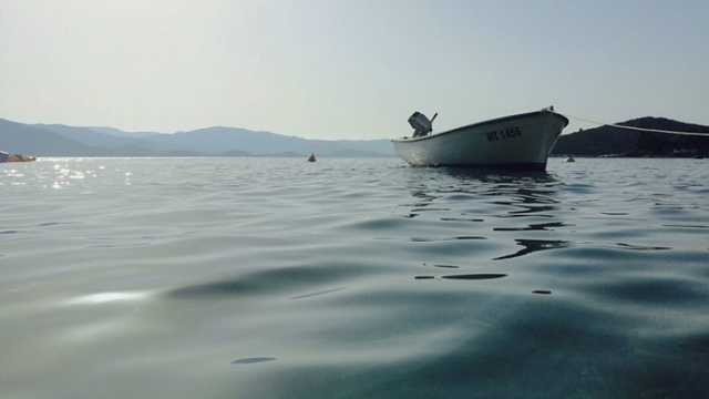 Лодка перевернулась: под Киевом на Днепре погибли люди