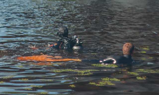 В Киеве на Осокорках утонул мужчина