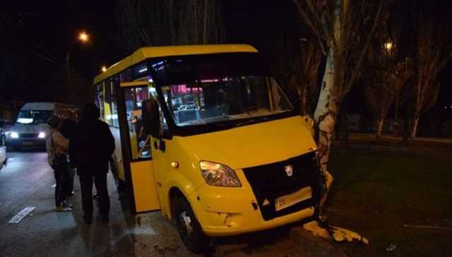 Водитель маршрутки в Николаеве потерял сознание за рулем и врезался в дерево