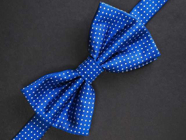 «Горошковое» настроение: спикер Рады надел галстук за 3000 гривен