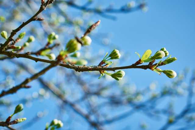 Тепло, но дождливо: синоптики рассказали, какая будет погода на этой неделе