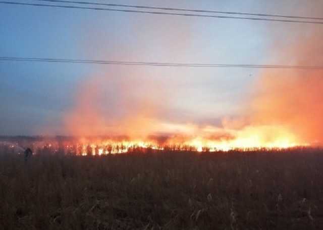 Попытка сжечь сухую траву едва не привела к серьезным проблемам в Ровенской области