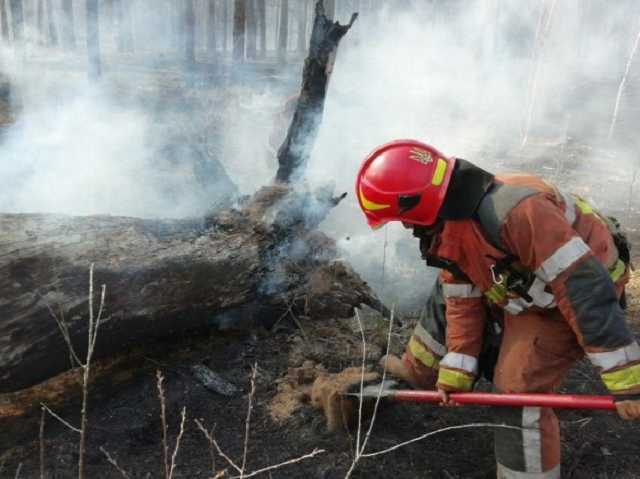 В Киеве едва не загорелся заповедник “Быковнянские могилы”