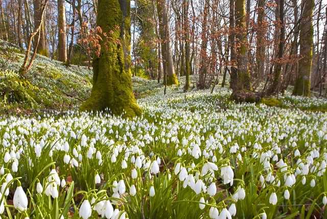 Синоптики уточнили теплий прогноз погоди в Україні