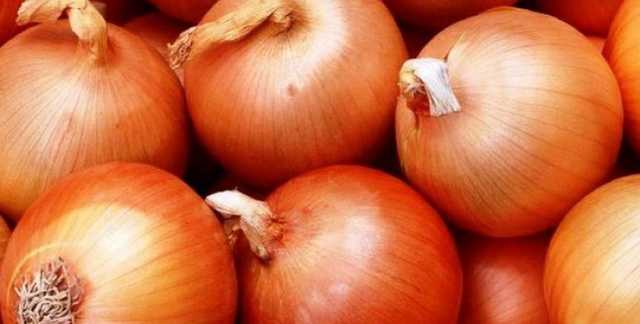 В Украине за 5 лет репчатый лук подорожал на 540%