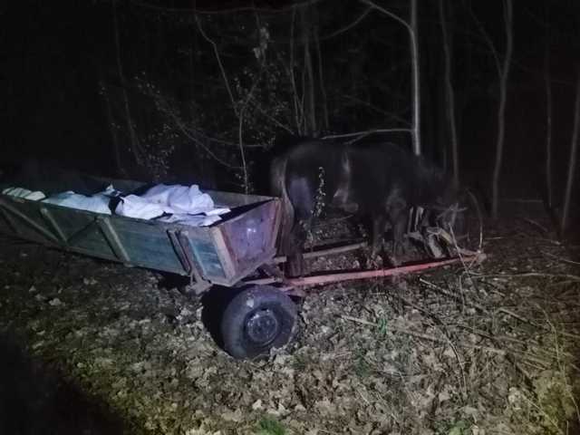 На Волыни трое украинцев пытались на телегах вывезти в Беларусь 800 кг сала