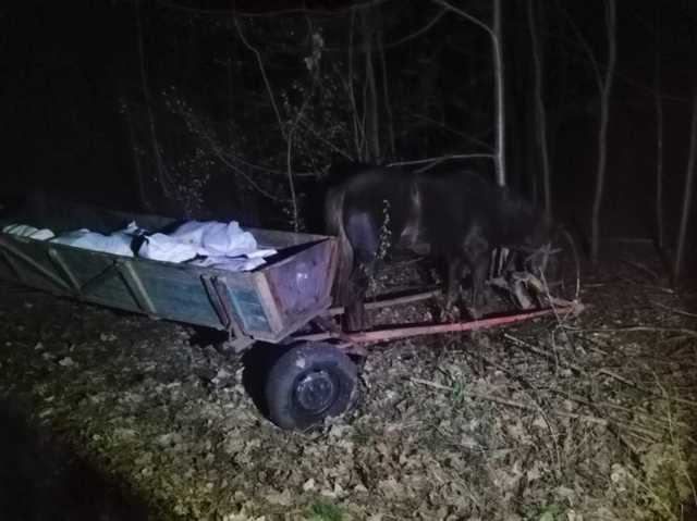 Трое украинцев двумя повозками пытались провезти в Беларусь 800 кг сала