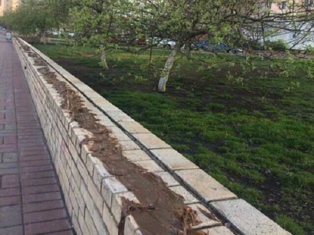 Жители Киева нашли необычный способ борьбы с шумными компаниями: сеть в недоумении