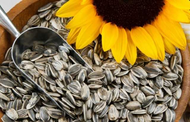 В семечках "Semki" радикала Рыбалки украинка нашла кусок стекла