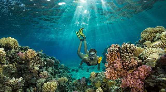 Отдых на майские: аферисты "атакуют" и разводят украинцев на деньги