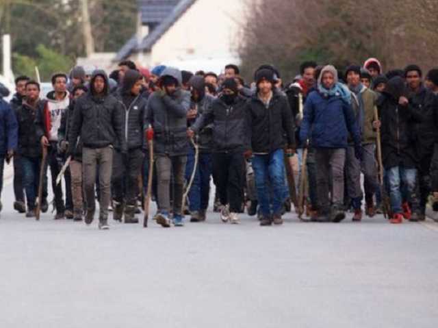 Ромы устроили массовое побоище в Берегово: десятки пострадавших