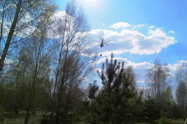 Под Черниговом спасатели с вертолетами и самолетами тушили масштабный лесной пожар