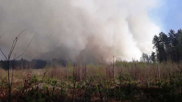 На Житомирщині палає 15 гектарів лісу