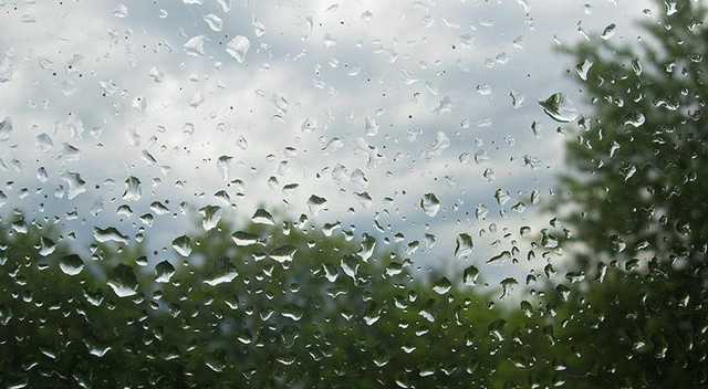 Погода на понедельник: В Украине ожидаются дожди с грозами и похолодание до +11