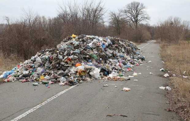Готовится радикальный закон: украинцам придется раскошелиться за выброс мусора