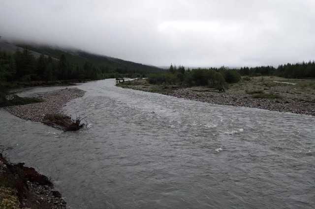 На реках Закарпатья из-за сильных дождей ожидается подъем уровня воды, - ГосЧС
