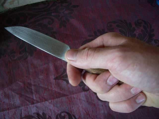 На Донеччині п’яна жінка зарізала співмешканця