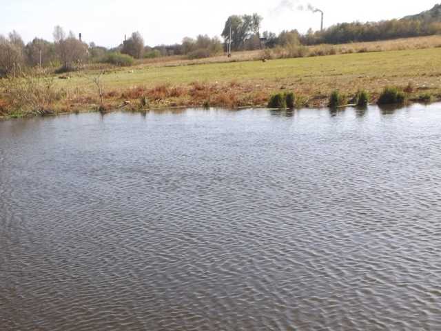 В Винницкой области у реки нашли человеческий скелет в одежде