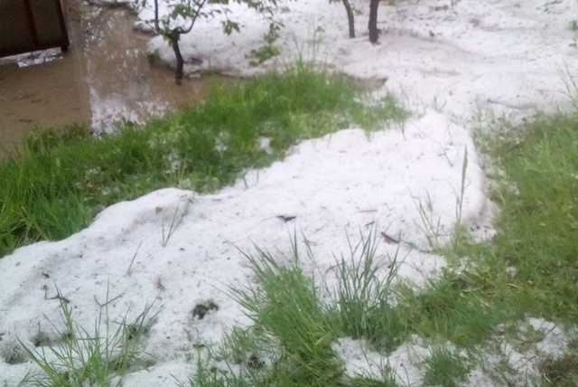 "Я в шоке": в Черновицкой области внезапно выпал снег