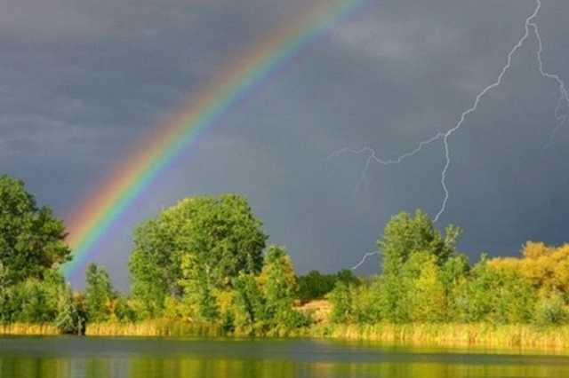 Шквалы, дождь и грозы: синоптики предупредили украинцев о надвигающейся буре