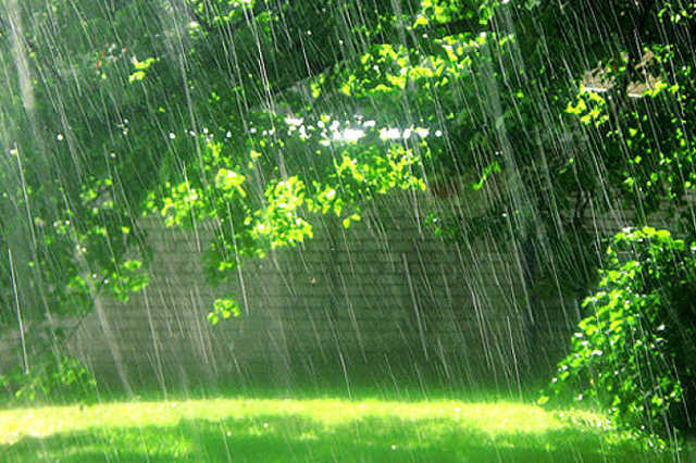 Тепло и мокро: синоптики предсказали погоду на ближайшие дни