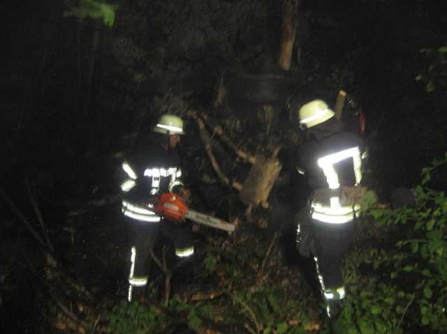На Донбассе произошло смертельное ДТП с участием детей