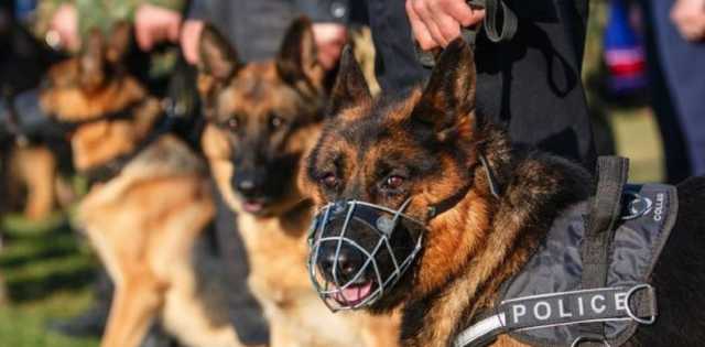 Чернівецьку ОДА евакуювали – шукають вибухівку