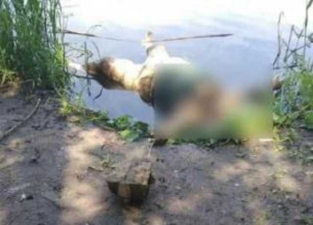 С Ворсклы достали тело женщины с привязанным камнем