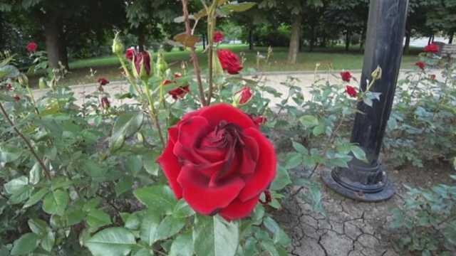 Донецк — лицо «благополучия» «ДНР»: блогер снял видео об обстановке в центре города