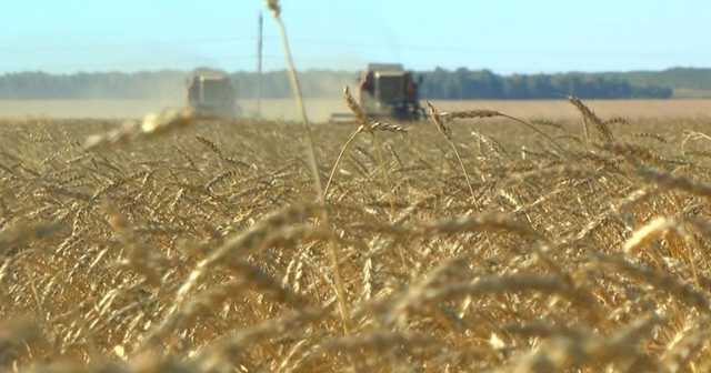 Под Болградом глава сельсовета готовится к рейдерскому захвату земли у фермеров?