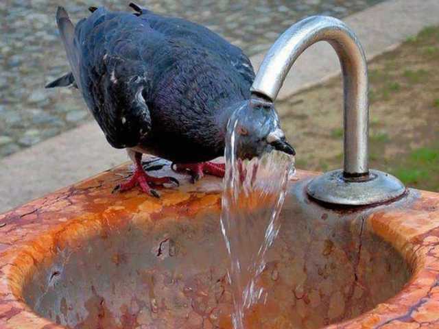 Жара не отступает: температура воздуха в Украине до +35 продержится еще неделю