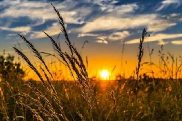 Жара начнет спадать: появился неожиданный прогноз погоды в Украине