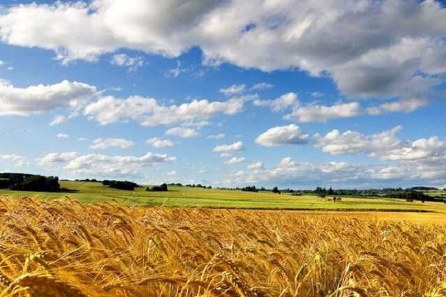 Вжарит до +36! Синоптики пообещали аномальную погоду в Украине