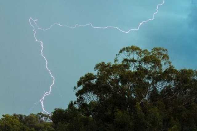 На Ивано-Франковщине молния на месте убила троих: детали трагедии