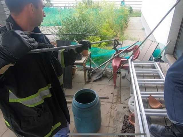 В Днепропетровской области во дворе частного дома обнаружили змею