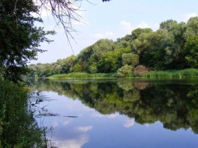 Личность не установлена: под Харьковом на берегу реки нашли труп молодого мужчины