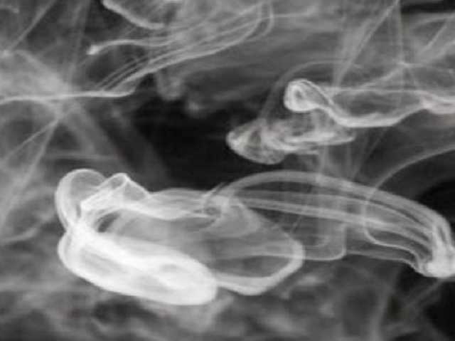 На Прикарпатье нашли мертвыми молодую женщину и ее шестилетнюю дочь