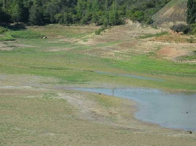 На севере Крыма настоящая экологическая катастрофа: появились новые сведения