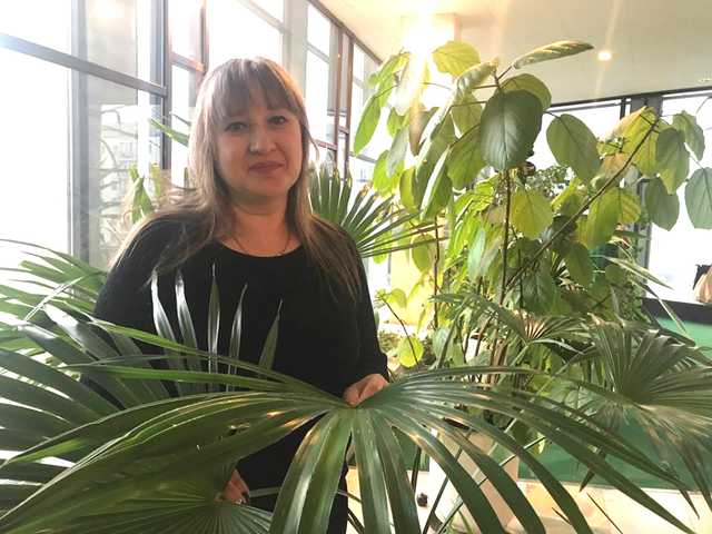 Всплыли подробности жуткого ДТП с маршрутками под Киевом