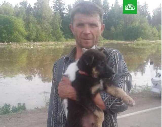 Сеть жестко отреагировала на жалобное фото спасенного от наводнения в России