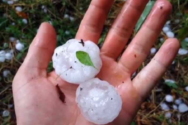Вырваны деревья и сорваны крыши: по Украине пронесся мощный ураган