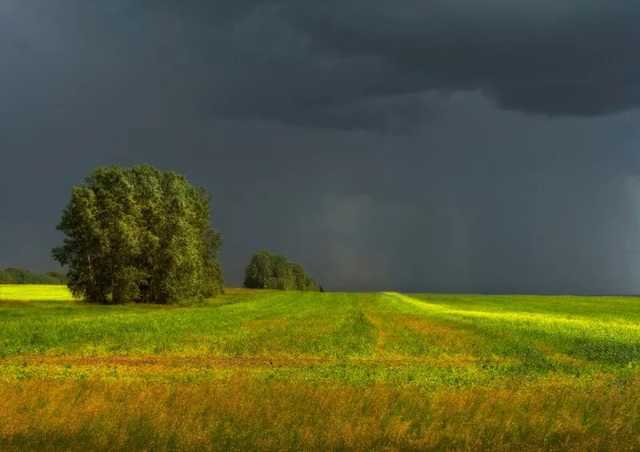 В Румынии пронесся торнадо, на Украину надвигаются грозы и шквалы