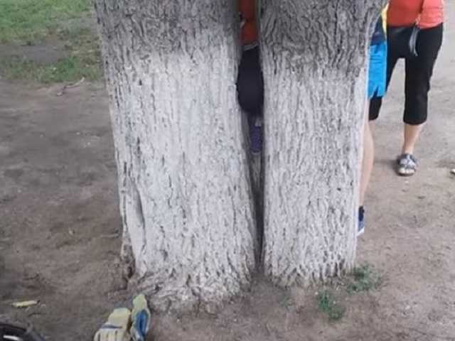 7-летняя девочка застряла между деревьями в Харькове: видео спасательной операции