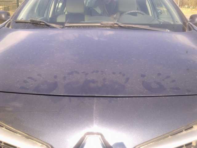 В Киеве неадекватная пара занялась сексом на капоте авто