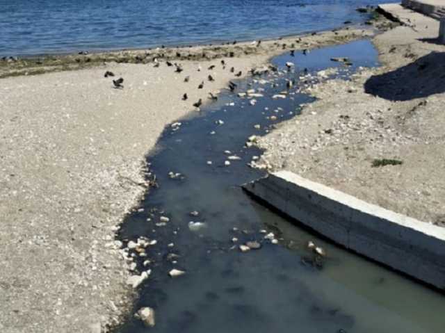 Вокруг одни нечистоты: в Крыму бьют тревогу из-за новой катастрофы