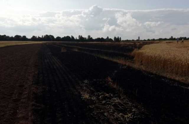 В Хмельницкой области сгорело 3 га урожая