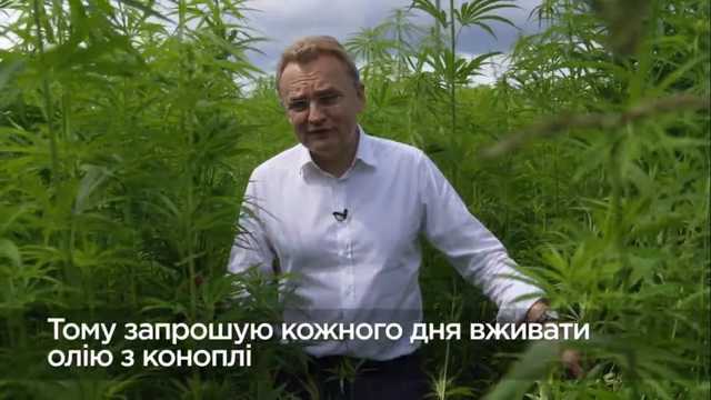 Мэр Львова посреди поля рассказал о полезных свойствах конопли